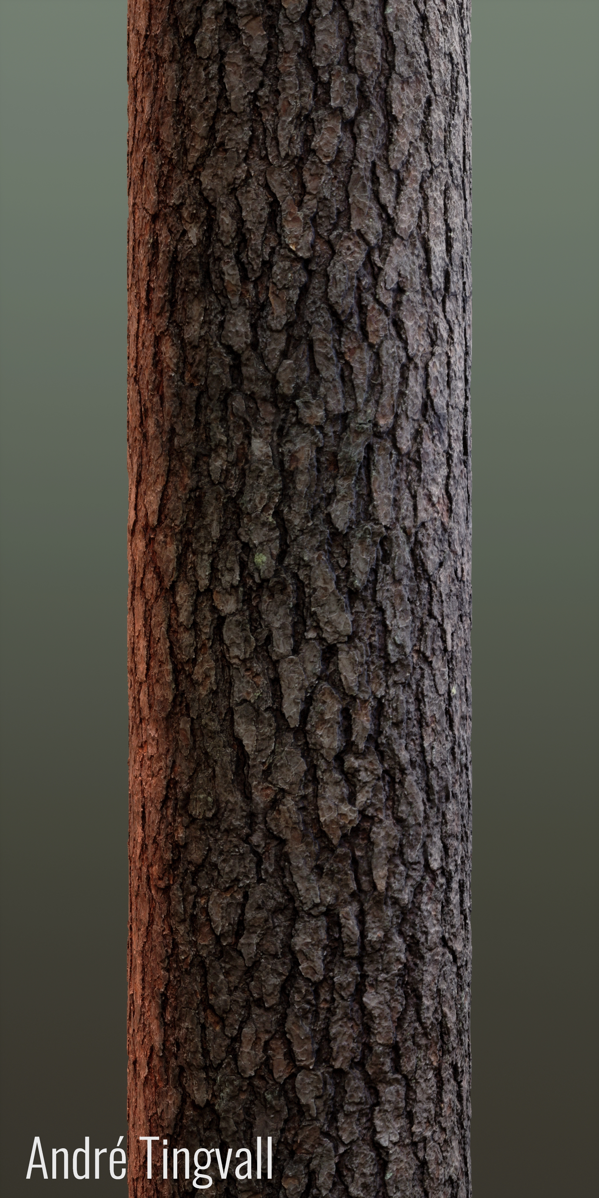 Rendered view on cylinder